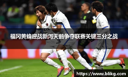 福冈黄蜂迎战新泻天鹅争夺联赛关键三分之战